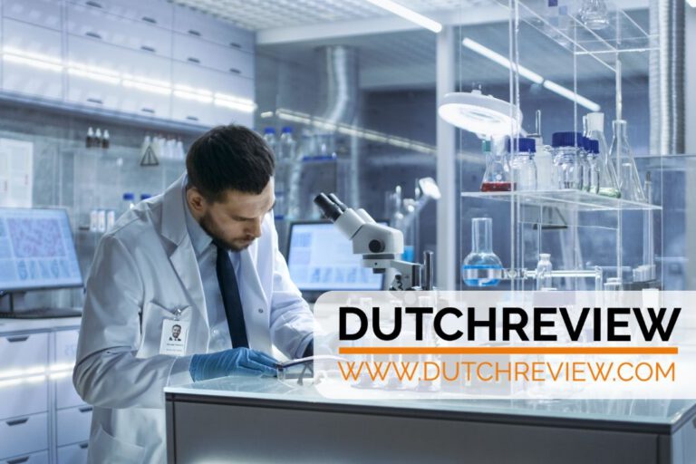 Corona update: the Netherlands reports zero deaths