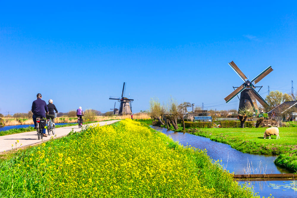 peope-cycling-past-the-windmills-in-kinderdijk