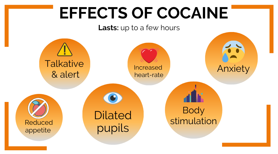 The effects of cocaine in the Netherlands