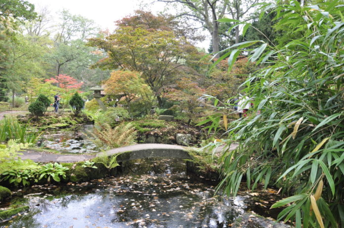 Visit Japanese Garden the Hague, tranquil places in the Hague