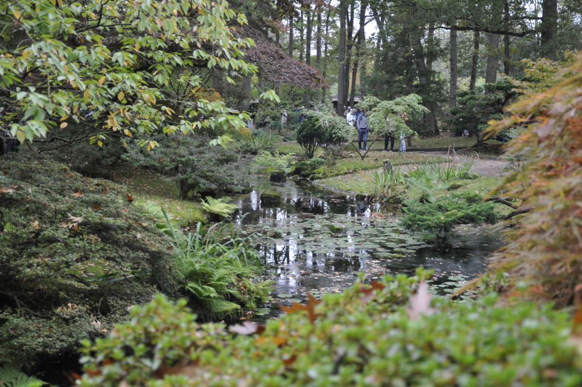 photo-of-people-walking-in-the-japanese-garden-the-hague