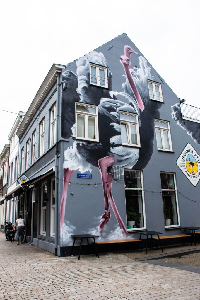 magical-murals-photo-of-a-house-with-a-mural-tilburg-ostrich