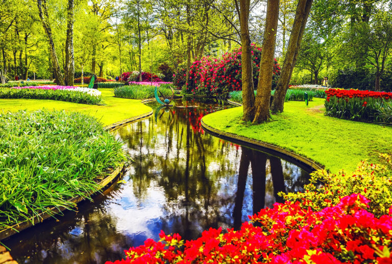 Tulip park De Keukenhof finally reopens tomorrow