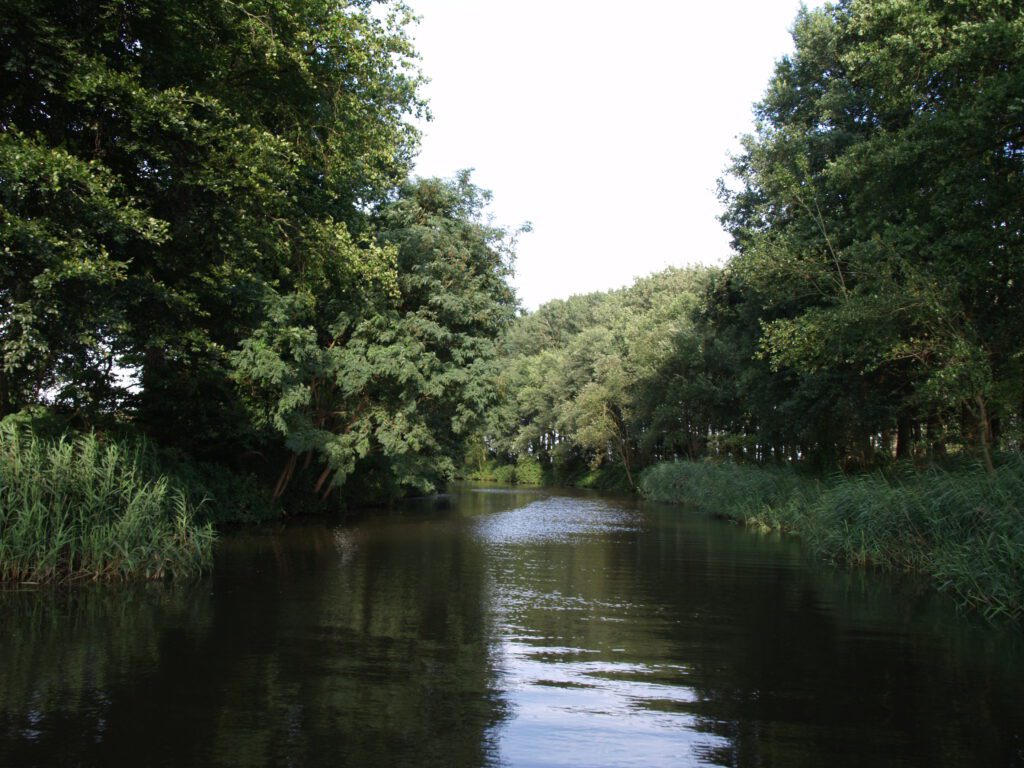dutch-river-with-trees