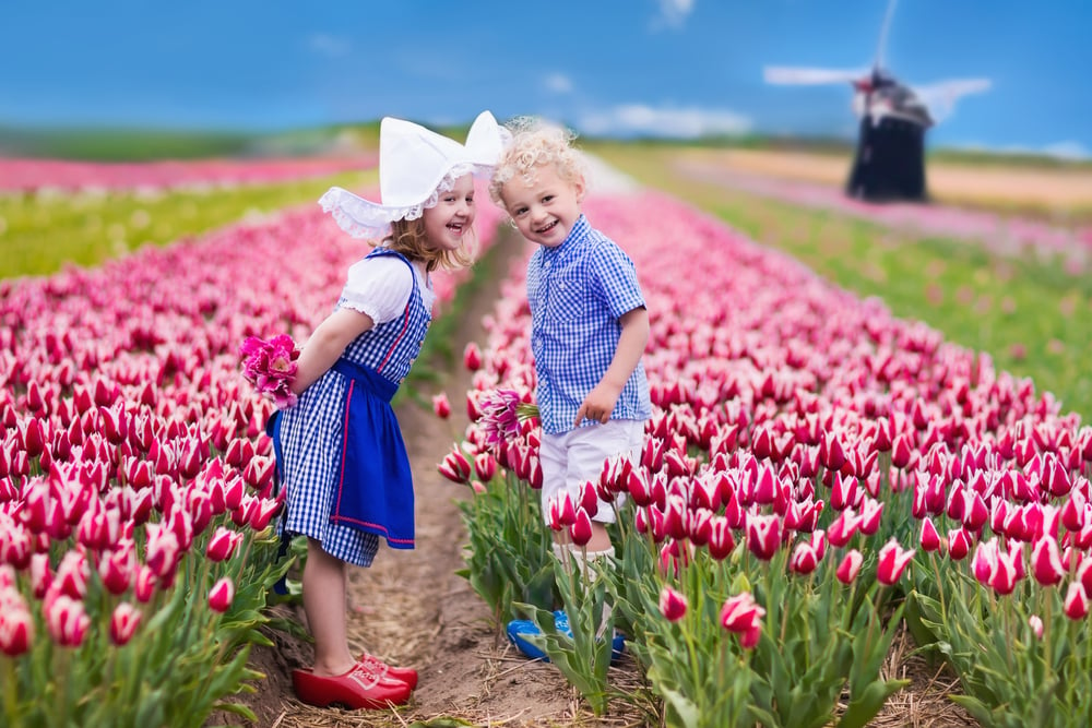 dutch-kids-in-traditional-dress-standing-in-a-tulip-field
