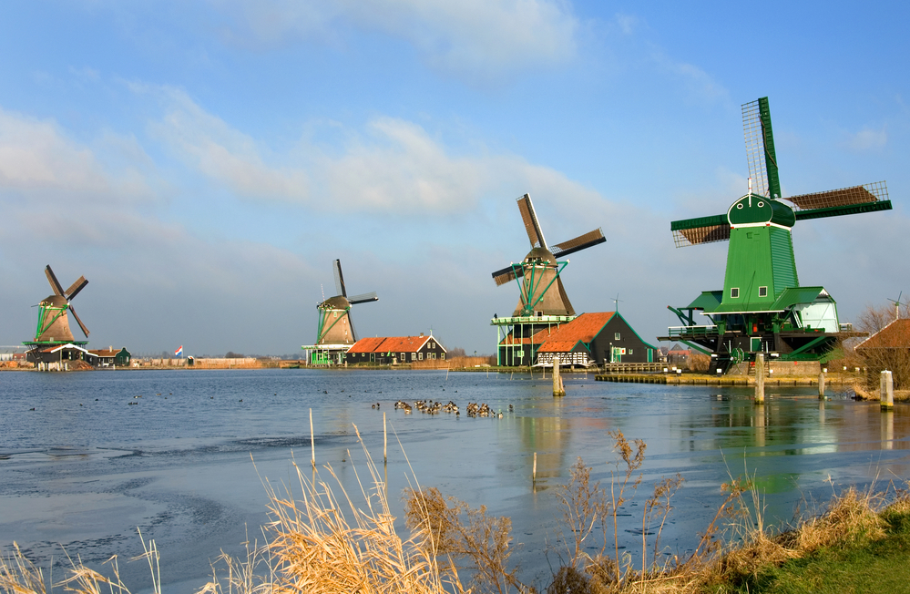 photo-of-windmills-and-water-and-ducks-at-zaanse-schans