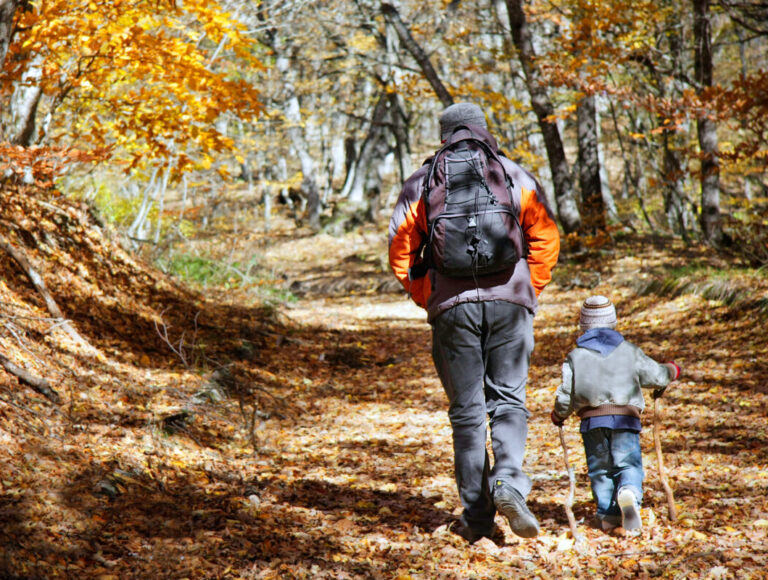 The 10 best hikes in and near Utrecht to bask in Dutch nature
