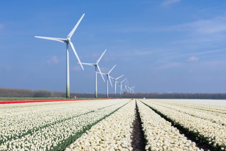 Dutch government responsible for nearly 20% of country’s carbon footprint