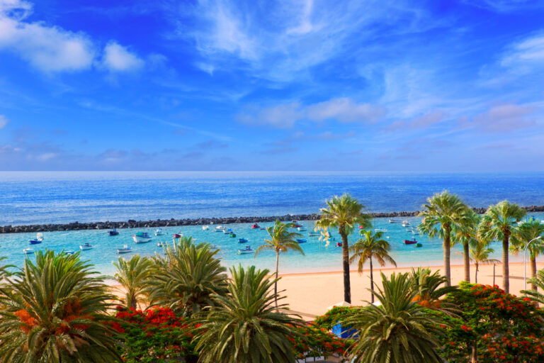 Dutch travel agencies cancel trips to Spanish Islands