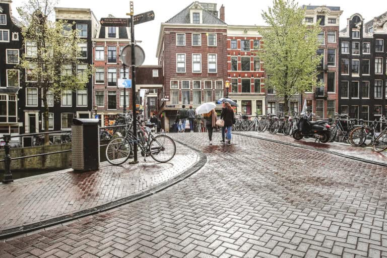 False spring alert! Winter weather isn’t finished in the Netherlands just yet