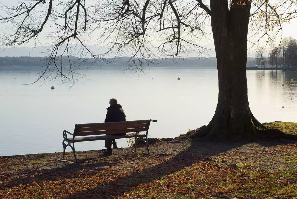 Photo-of-a-lovepat-sitting-alone-on-bench-under-tree