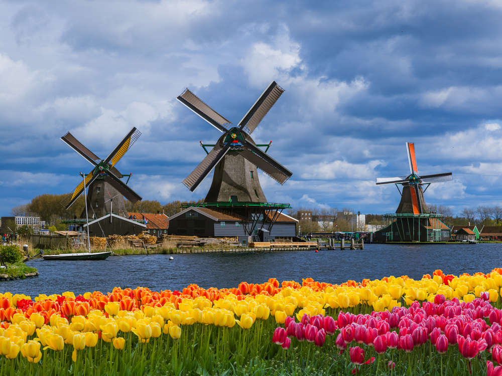 How The Netherlands Shows Off Its Culture And Why The World Is Loving It