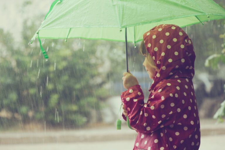Bad weather? This is a “normal” Dutch summer, according to meteorologist