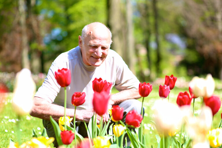 15 weirdly cute things Dutch people do