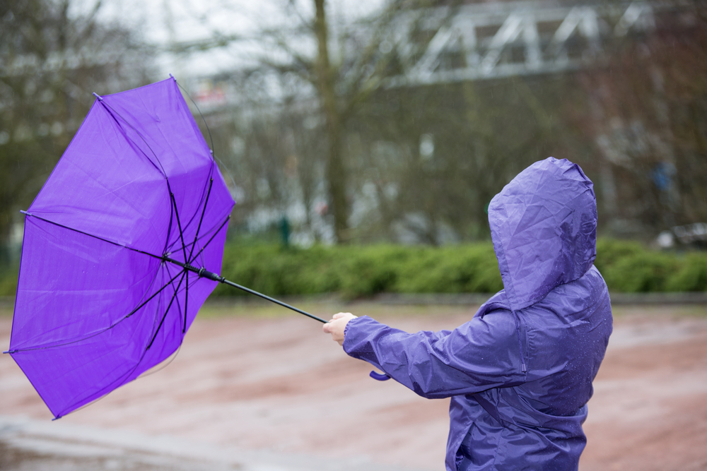 photo-of-person-in-purple-rain-coat-with-broken-inverted-matching-purple-umbrella-fighting-against-the-stormy-winds