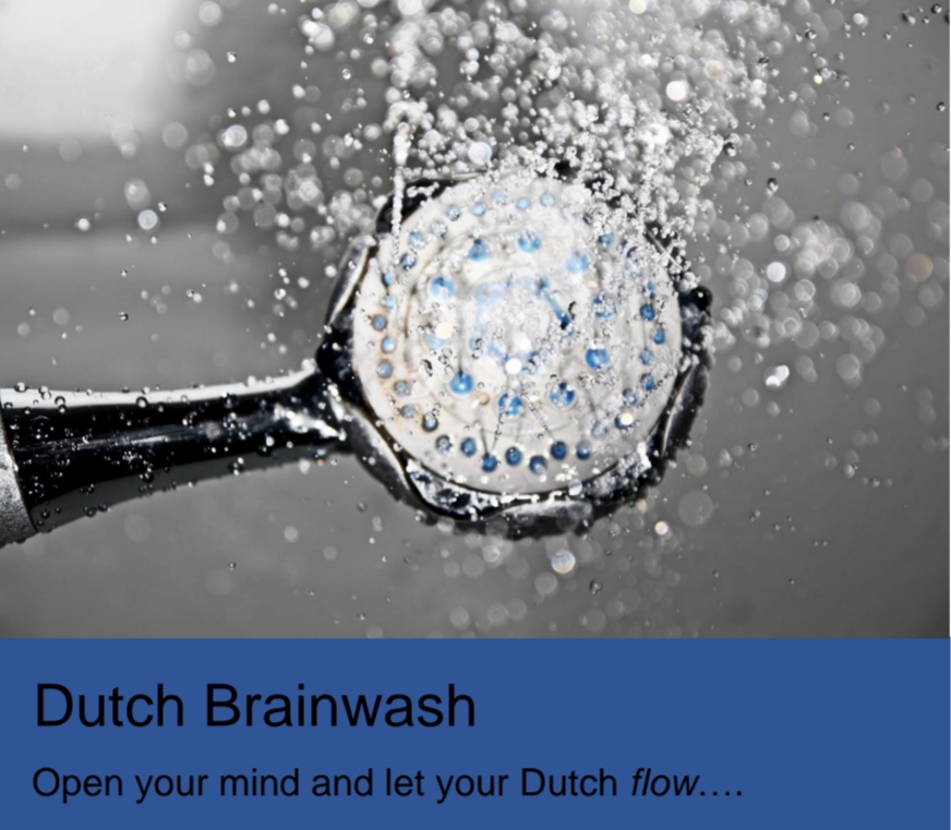 picture-of-showerhead-brainwash-language-technique