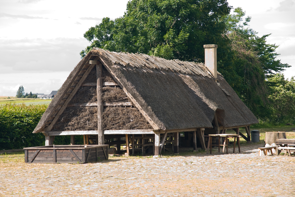 Photo-of-viking-settlement