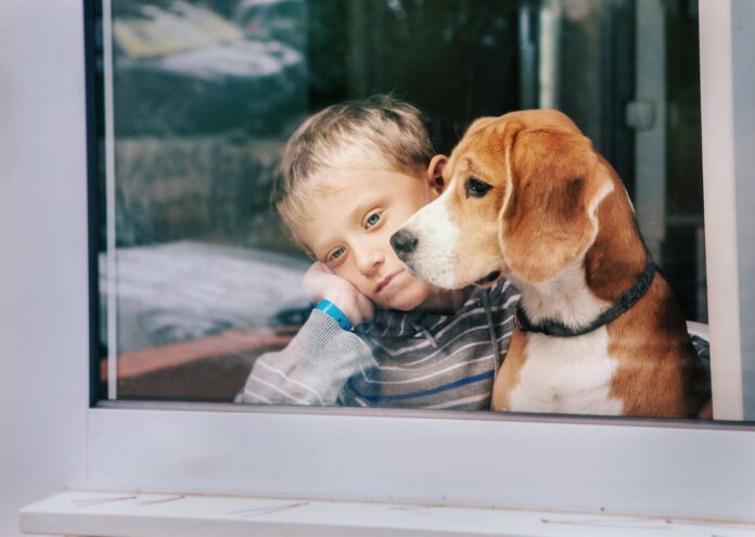 Dutch-boy-looking-out-window-next-to-dog