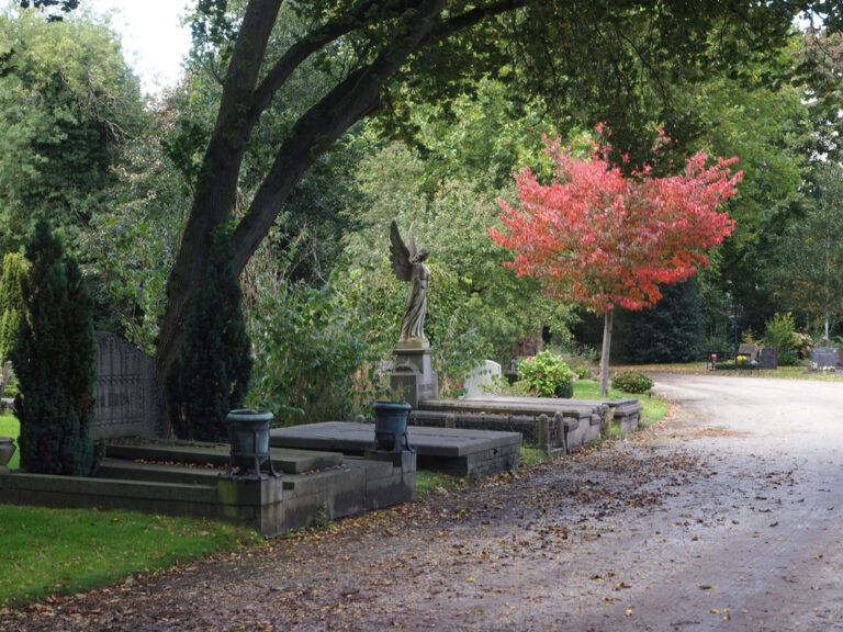 8 weird things about dying in the Netherlands