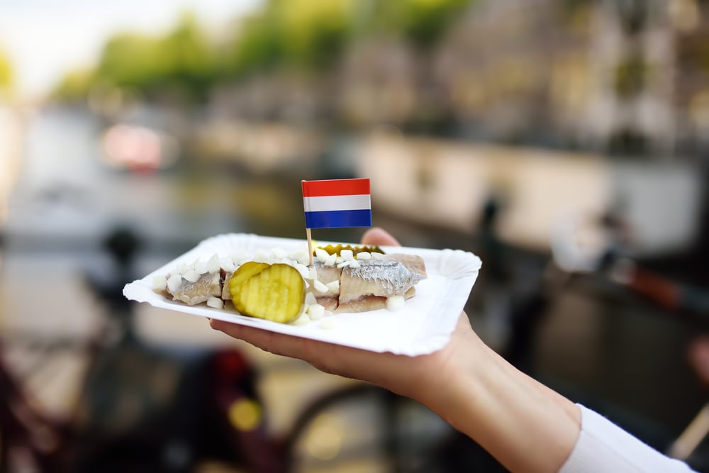 hand-holding-paper-plate-with-dutch-herring-pickle-and-raw-onion