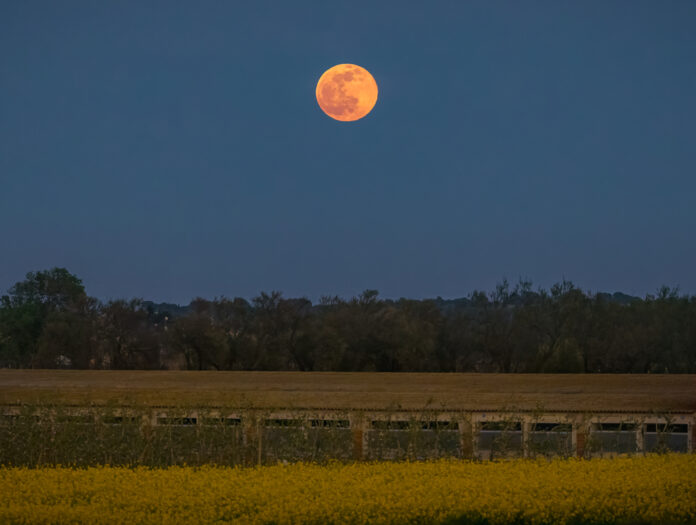 photo-of-Dutch-supermoon-over-field