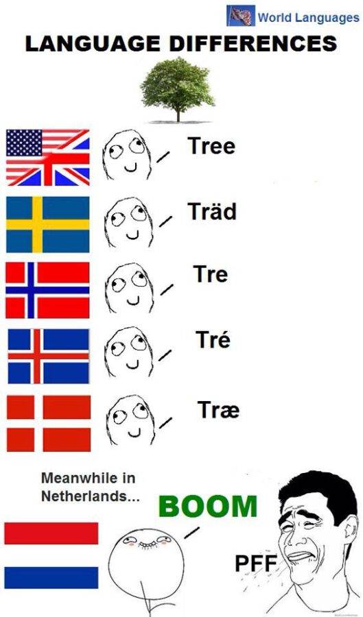 A-meme-of-the-word-tree-in-different-languages-compared-to-Dutch