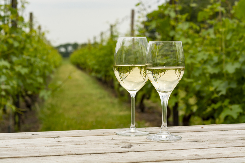 two-glasses-of-white-wine-on-a-table-in-a-dutch-vineyard