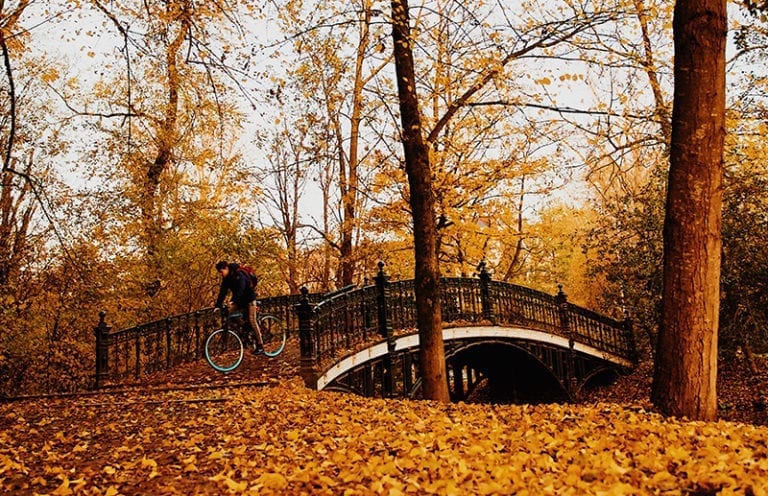 Autumn Photo Report: Why we’re gonna miss fall in the Netherlands