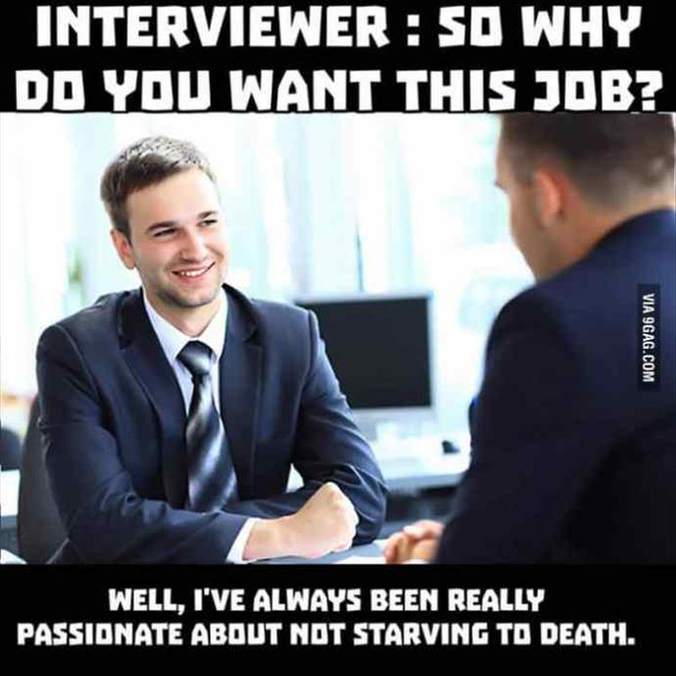 Job interviews in the Netherlands