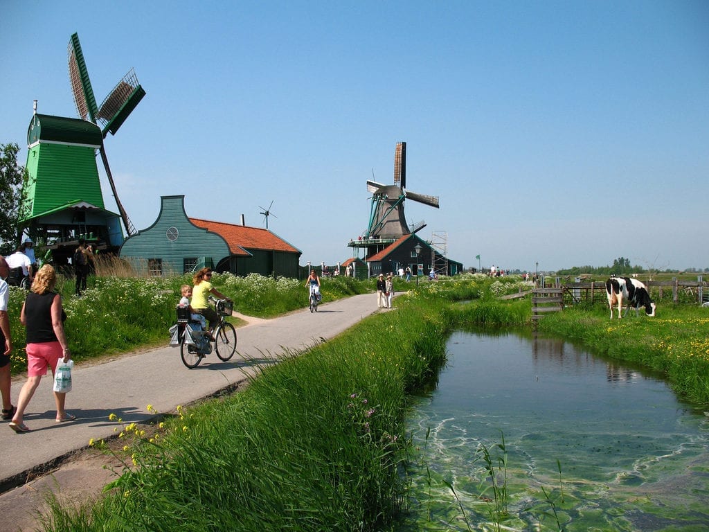 day trips from Amsterdam to windmills