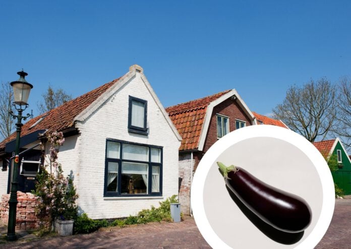 composite-image-of-dutch-houses-and-aubergine