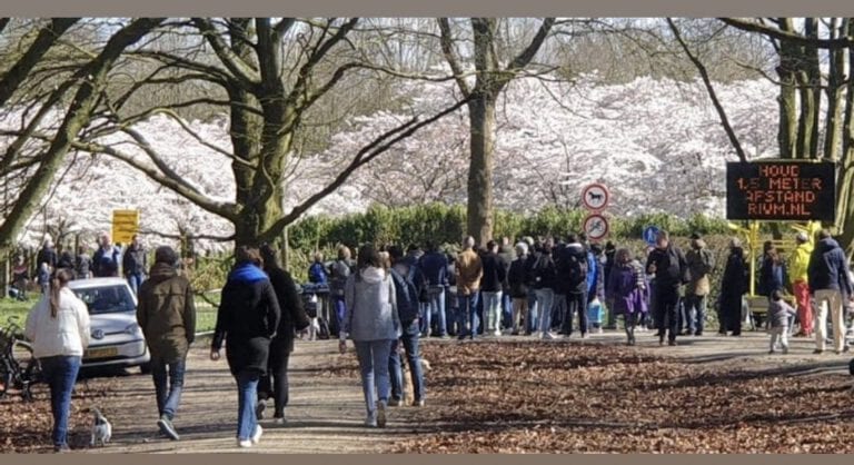 Sun’s out and so are the people: crowds in forests and on beaches