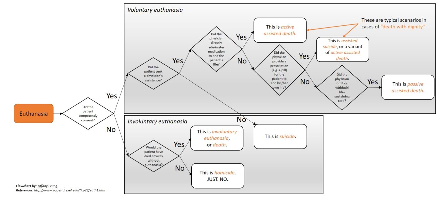 euthanasia in the netherlands