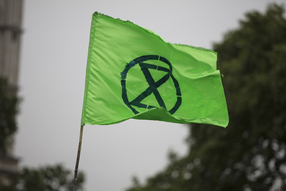 green-extinction-rebellion-flag-blowing-in-the-wind-against-grey-sky