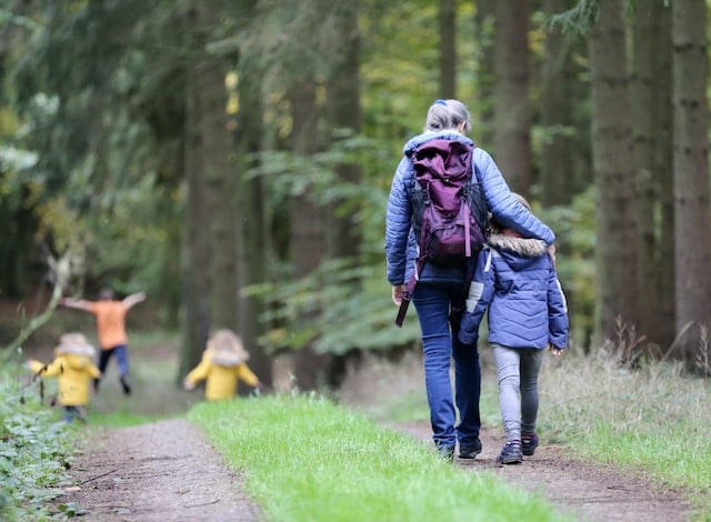 family-walking-through-a-forest-in-the-netherlands-haarlemmerhout