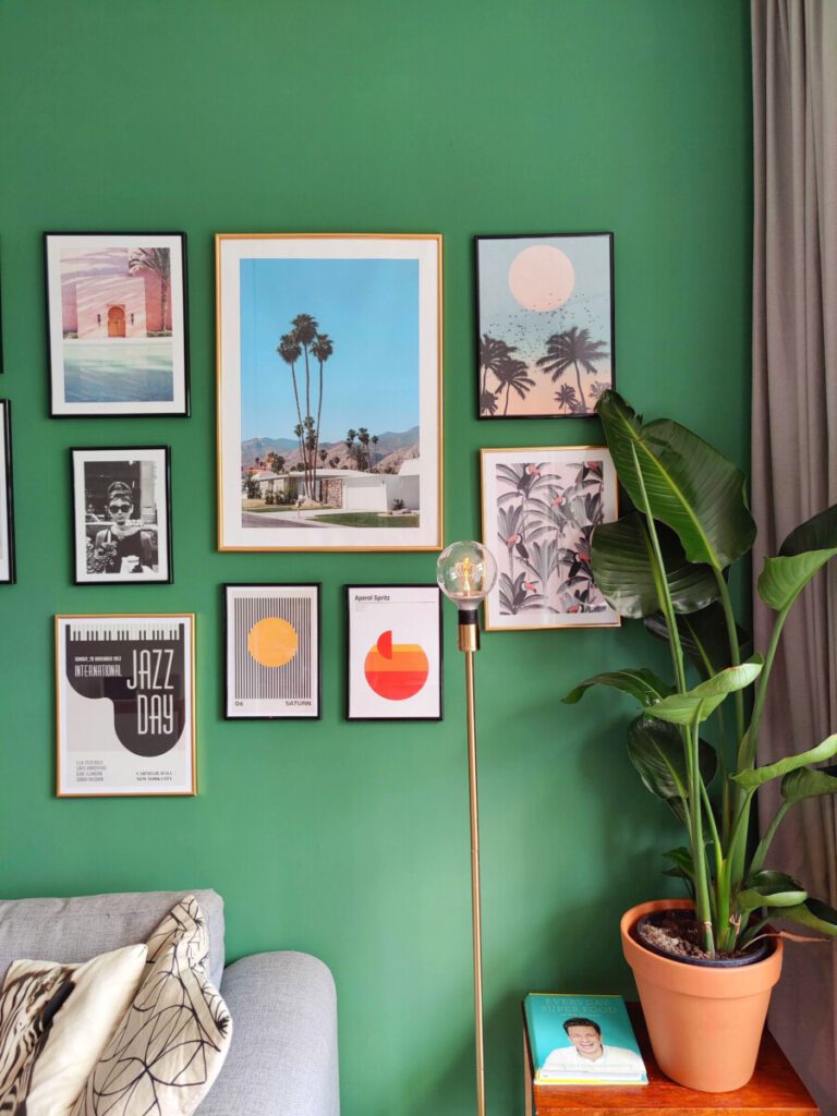 pot plant and picture frames