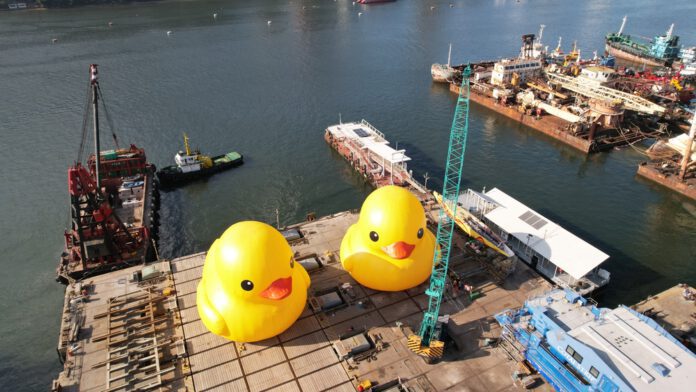 two-giant-ducks-in-hong-kong-harbour