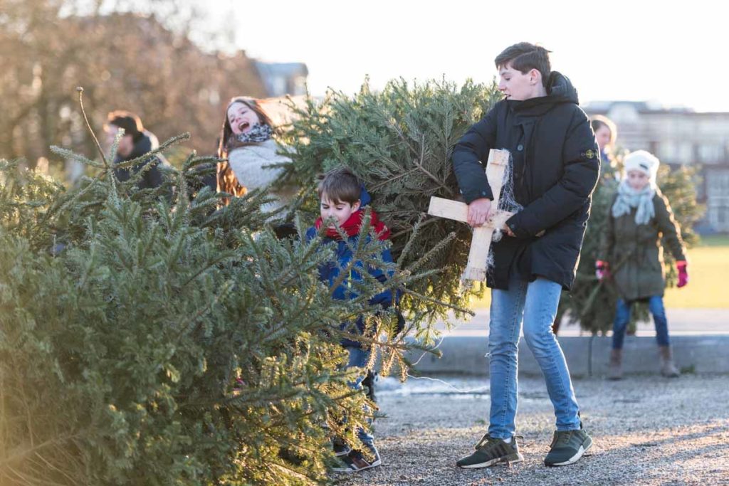 Kids-of-all-ages-carry-christmas-trees-ready-for-the-bonfire