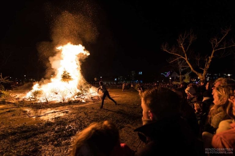 How Dutch people get rid of their Christmas trees