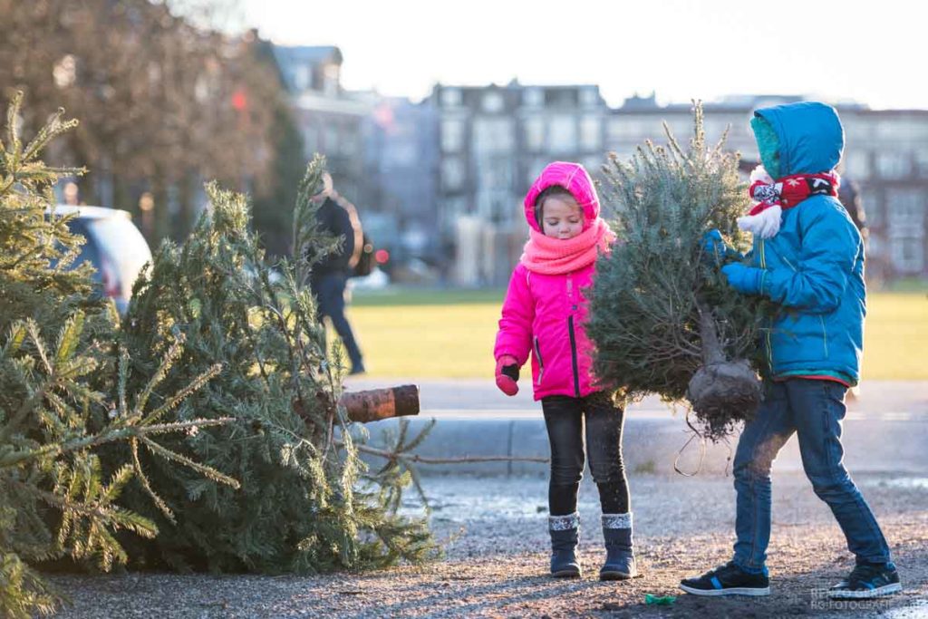 Young-children-in-winter-coats-walk around-with-small-christmas-trees