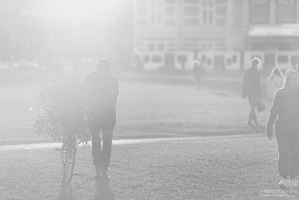 Black-and-white-image-with-flare-of-a-man-carrying-his-christmas-tree-on-his-bike