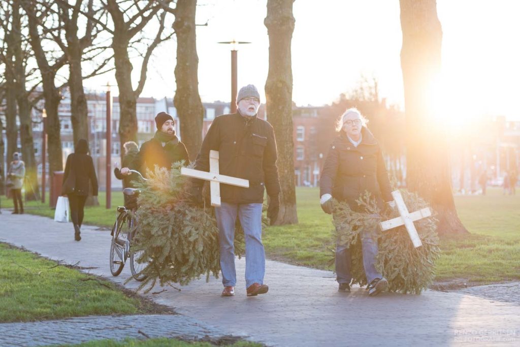 Group-of-people-walking-down-the-sidewalk-in-a-park-carrying-their-old-christmas-trees