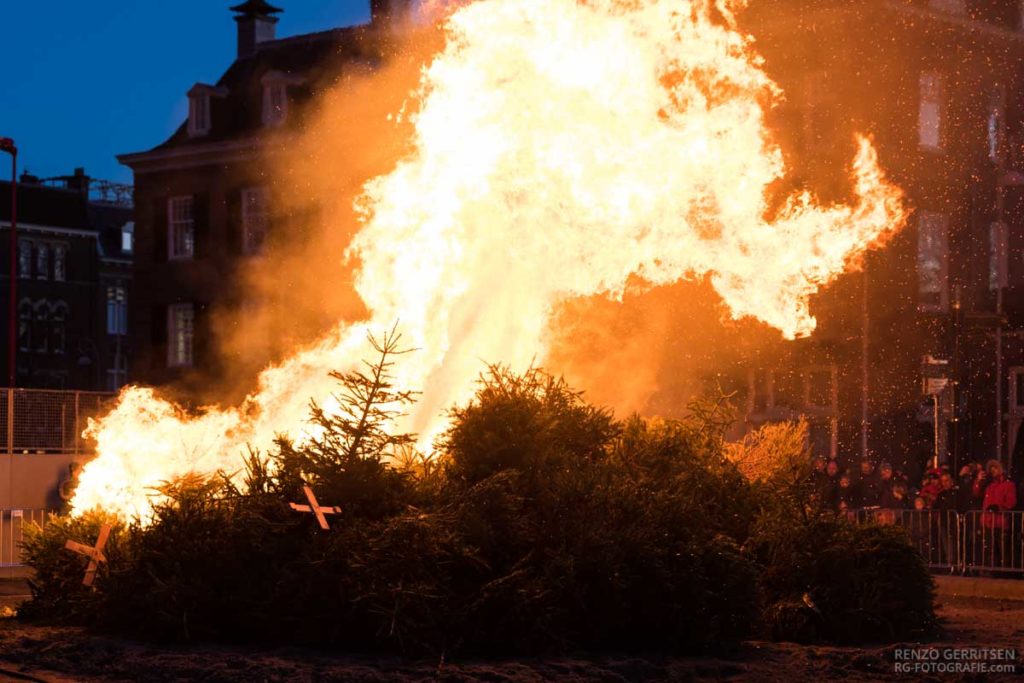 christmas-trees-burning-in-bonfire