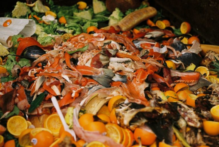 Food waste in the Netherlands: doggy bags are gaining in popularity
