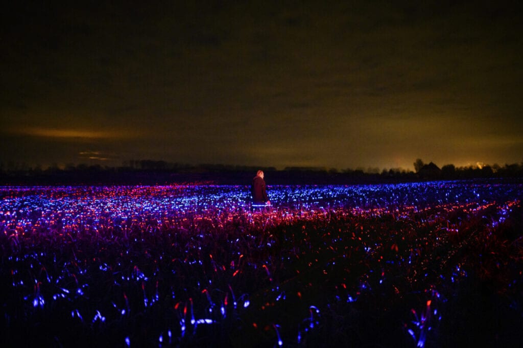 Photo-of-field-with-GROW-light-installation-project-Netherlands