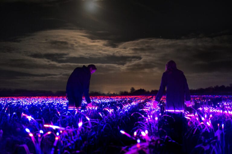 GROW: Dutch design studio lights up the future of agriculture
