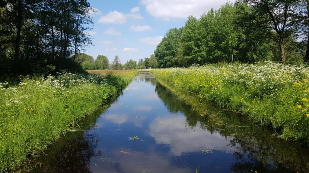 Hiking in the Netherlands: 4 myths, busted | DutchReview