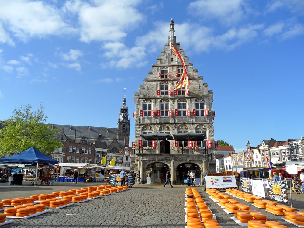 picture-of-wheels-of-gouda-cheese-stacked-in-rows-at-Gouda-cheese-market-tourism-the-netherlands