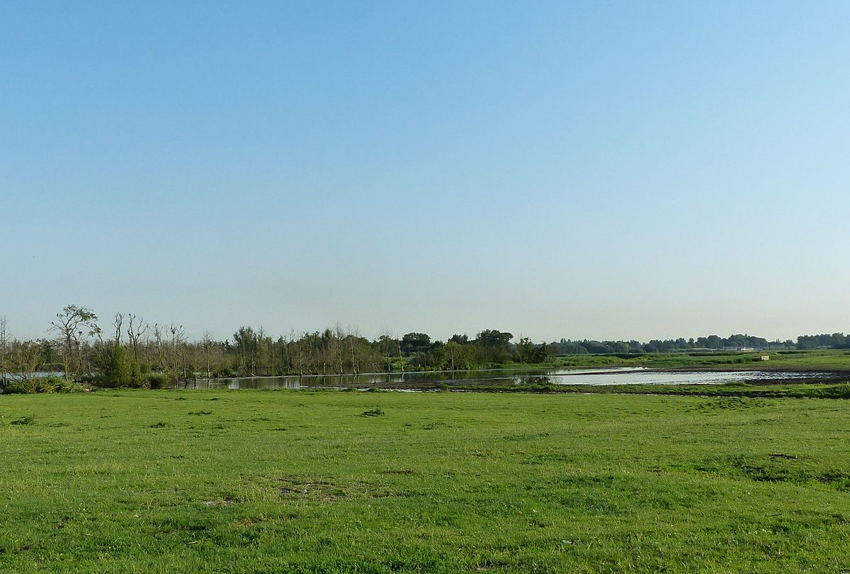 photo-of-ackerdijkse-plassen-rotterdam