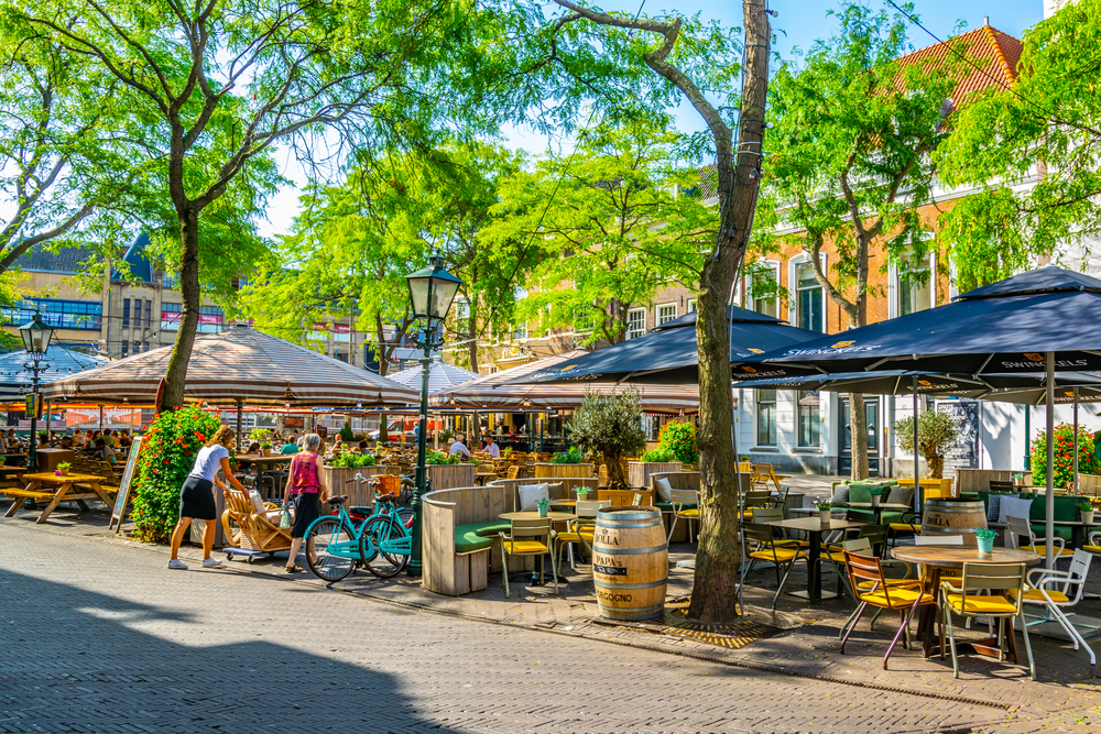 11 Of The Best Free Things To Do In The Hague In 2025 UPDATED 